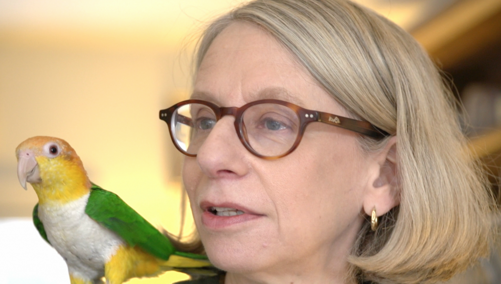 At Home With Roz Chast