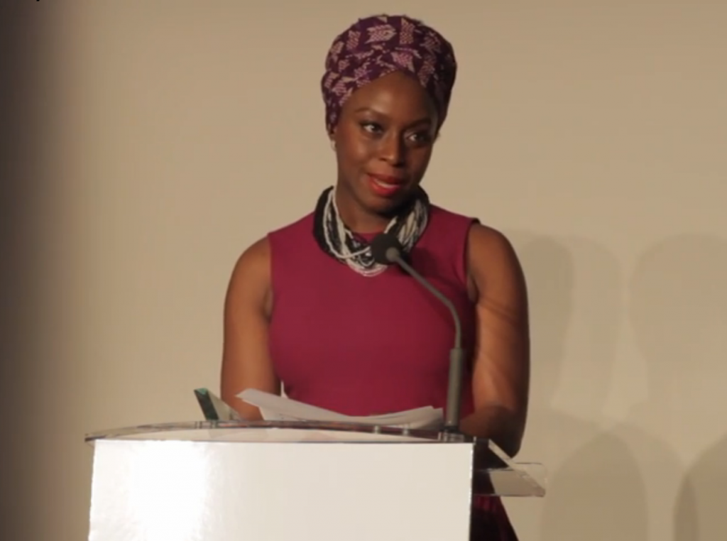 Chimamanda Ngozi Adichie Has Some Advice For You, and She Doesn't Care if You Like It.